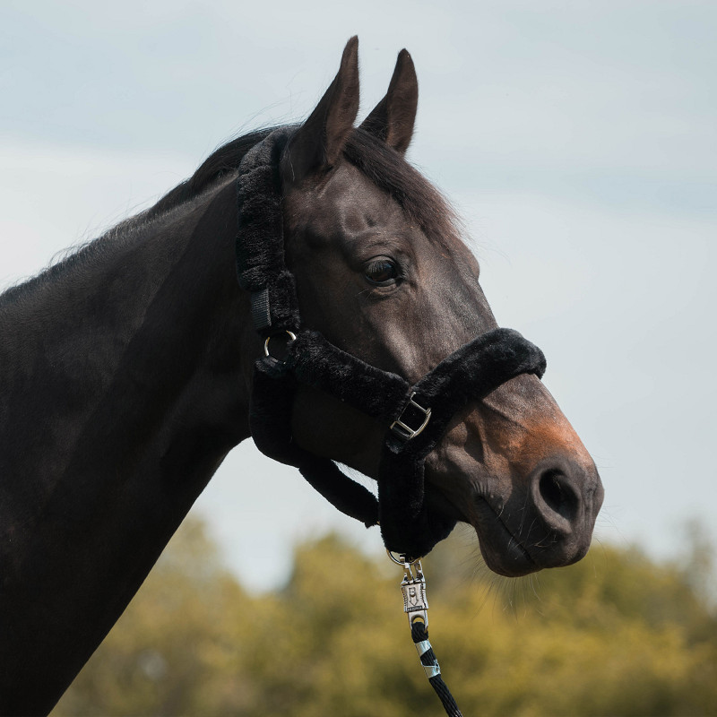 HALSTER MET BONT BESCHERMING