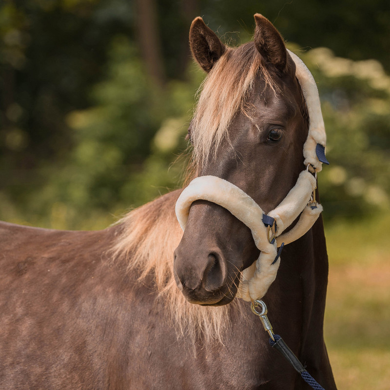 HALSTER MET BONT BESCHERMING