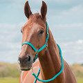 180214-345-1